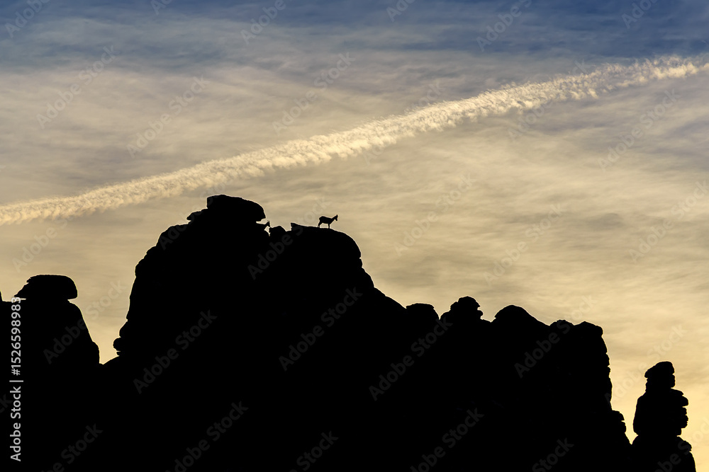 Naklejka premium Contraluz cabra torcal de Antequera