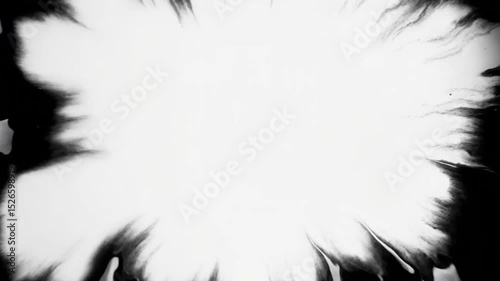 Wallpaper Mural Monochrome inkblot abstract explosion on white background Torontodigital.ca