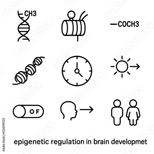 Epigenetic Brain Icon Set. Outline icon set of epigenetic regulation in brain development: DNA methylation mark, histone tail,