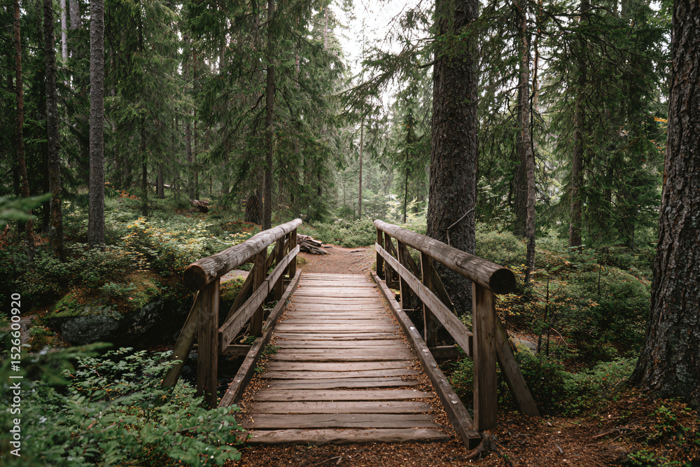 Fototapeta premium a wooden bridge in a forest with trees