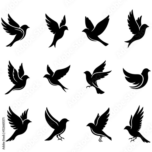 A beautiful and modern set of decorative, high quality editable bird elements
