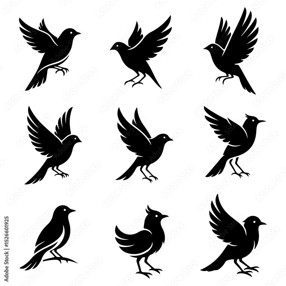 Obraz premium An elegant and premium collection of well editable vector bird art for creators