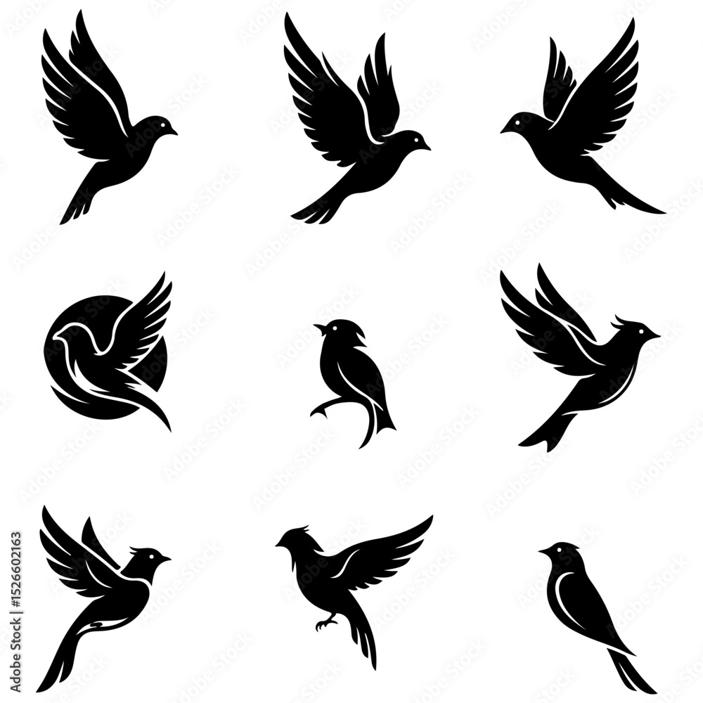 Obraz premium Collection of beautifully artistic bird forms in a well editable, abstract style