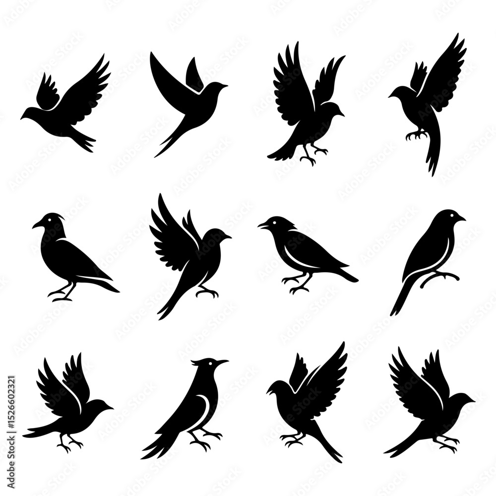 Obraz premium Set of premium vector birds featuring high quality editable and modern styling