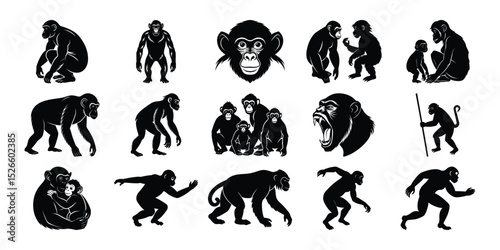 Chimpanzee Silhouette Vector Pack – Multiple Animal Poses in Solid Black Style
