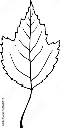 leaves
