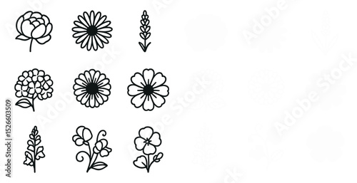 Black and white floral designs for artistic inspiration and creative projects