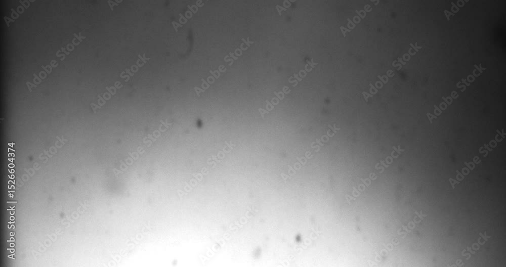 Film stock abstract texture, easy to use in composition, retro films reel clutter effect, old intro effect. Dirt, grain, dust and scratches to add an retro vintage look analog touch.