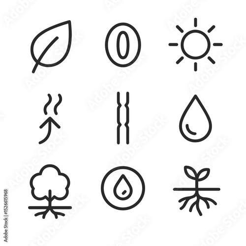 Plant Transpiration Icons. Outline icon set of transpiration in plants: leaf outline, stomata pore, water vapour arrow, sun icon,