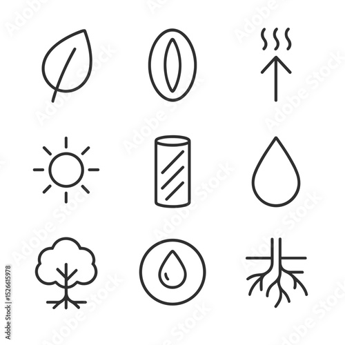 Plant Transpiration Icons. Outline icon set of transpiration in plants: leaf outline, stomata pore, water vapour arrow, sun icon,