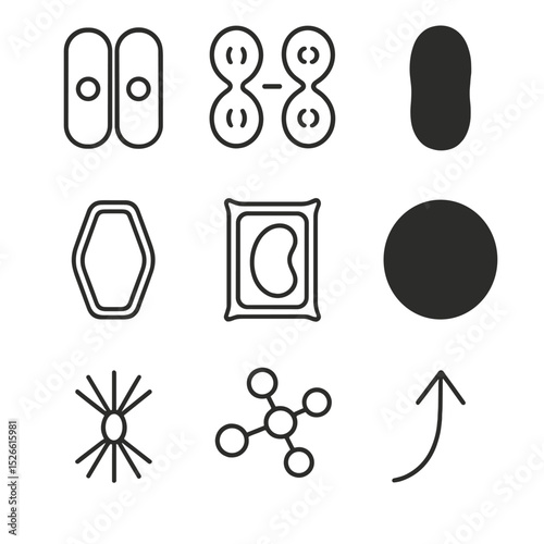 Plant Cell Icon Set. Outline icon set of plant cellular growth: cell division icon, mitosis phases, meristem cell, cell wall,