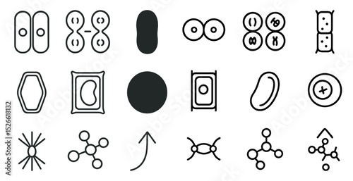 Scientific icons set depicting cell division and molecular structures