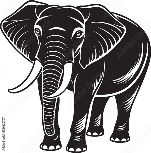 elephant isolated on white