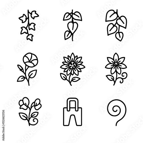 Vine Curtain Icon Set. Outline icon set of vine curtain separators: English ivy, philodendron vine, pothos strand, morning glory