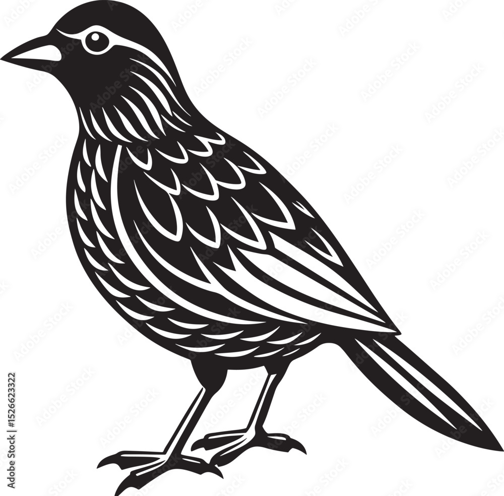 Fototapeta premium bird on a white background