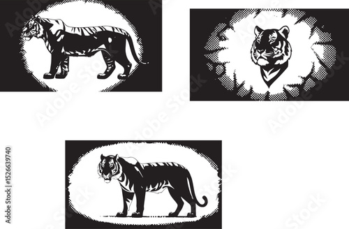 Vector tiger silhouette set on white background