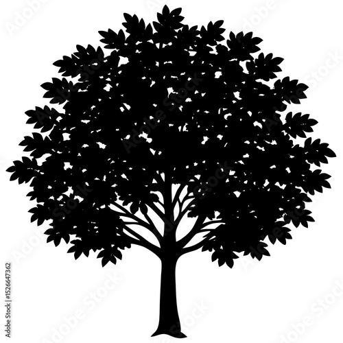 silhouette of a tree