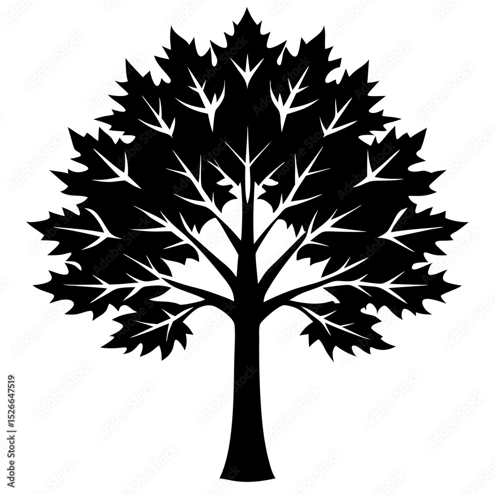 Obraz premium tree silhouette isolated on white