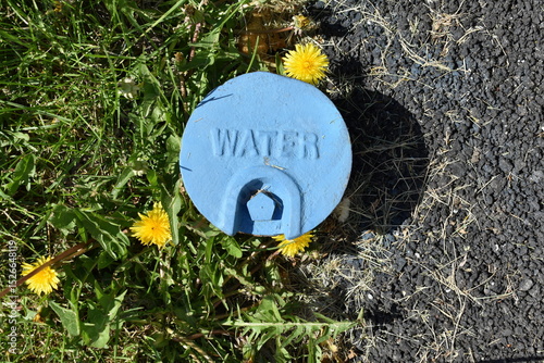 City Water Utility Service Port Shutoff Valve Surrounded by Dandelions