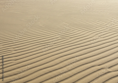 Serene Sand Dune Texture with Natural Wave Patterns Perfect for Backgrounds and Designs