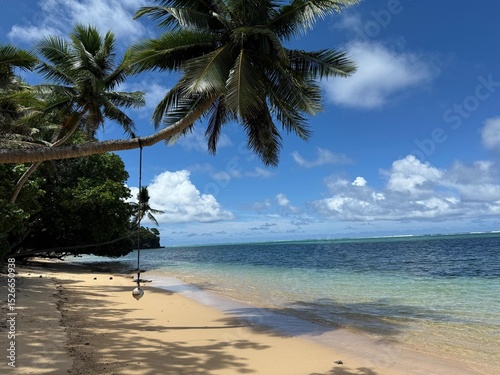 Fototapeta Naklejka Na Ścianę i Meble -  tropical beach with palm trees