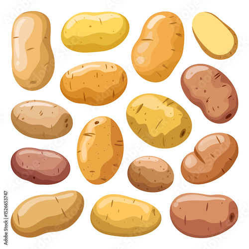 A Collection of 15 Illustrated Potatoes Diverse Shapes and Colors