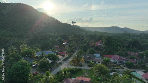 Aerial view of a local Malaysian oil palm plantation village in the morning. Warm sunlight filters through light mist, revealing rows of palm trees and scattered village homes.