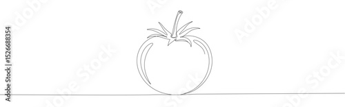 Tomato continuous one line drawing. Fresh vegetable.