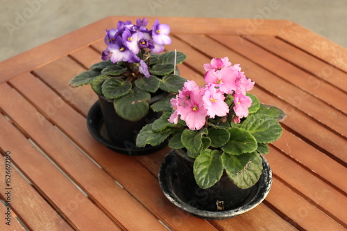 木製テーブルに置かれた鉢植えの花