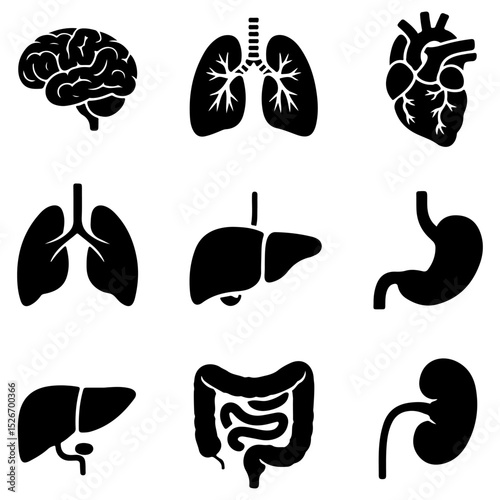Black silhouettes of human internal organs illustrating anatomy and physiology concepts