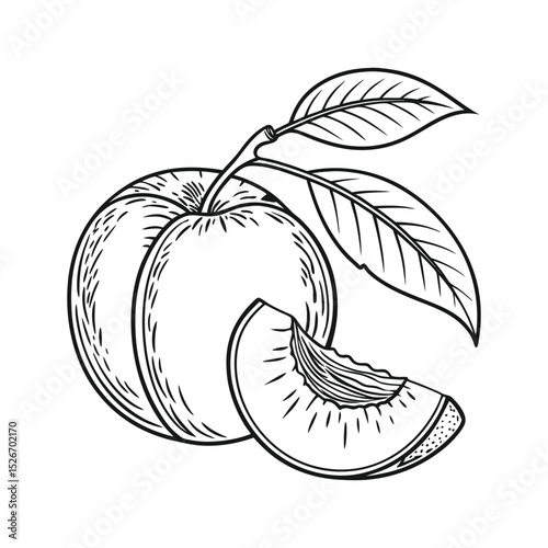 Tropical and Subtropical Fruits Coloring Book for Kids