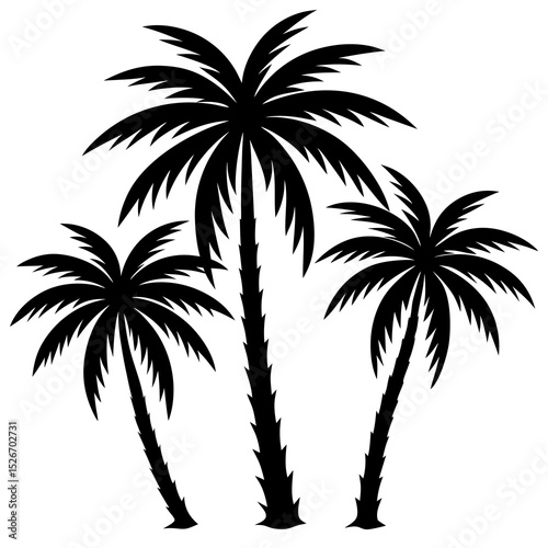 palm tree silhouette
