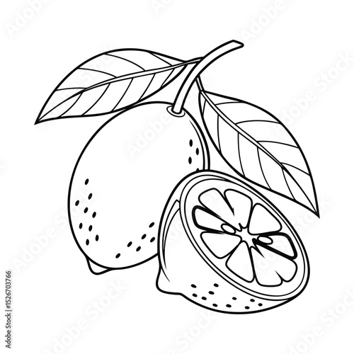 Tropical and Subtropical Fruits Coloring Book for Kids