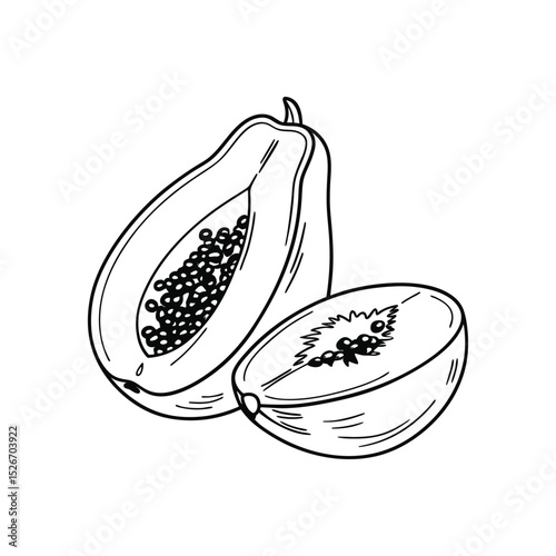 Tropical and Subtropical Fruits Coloring Book for Kids