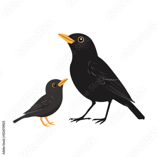 A Mother Blackbird With Her Kid 2D flat vector illustration, isolated on a white background.