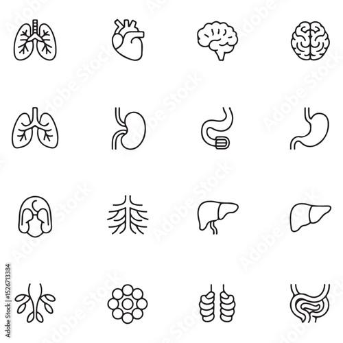 Collection of minimalist outlined human organs vector icons suitable for educational and medical purposes