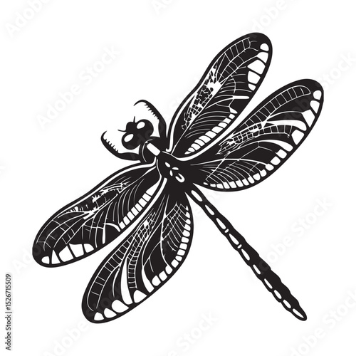 Detailed black and white illustration of a dragonfly