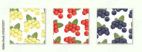 Set of vector seamless patterns with currants on white background