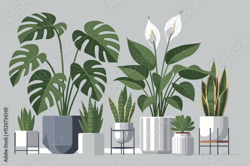 Collection of Various Potted Houseplants in a Row Including Monstera Peace Lily Snake Plant and Succulent on a Neutral Background Vector Illustration