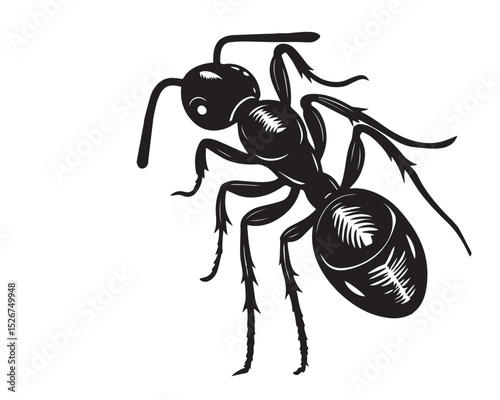 Detailed Black and White Illustration of an Ant in a Circular Design