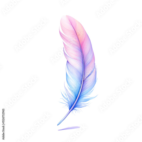 Pastel Pink and Blue Watercolor Feather Illustration