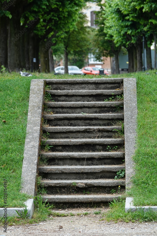 custom made wallpaper toronto digitalstone steps in the park