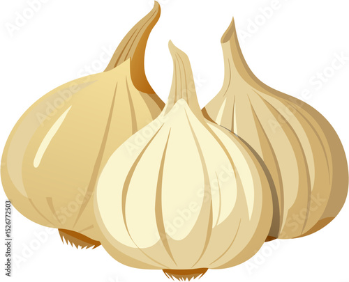 onion isolated on white background