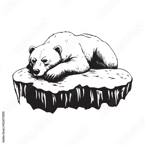 A Polar Bear Rests on a Shrinking Ice Floe Image Vector Isolated on white background.