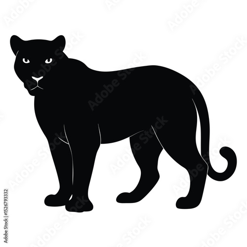 Majestic black panther silhouette wild cat animal