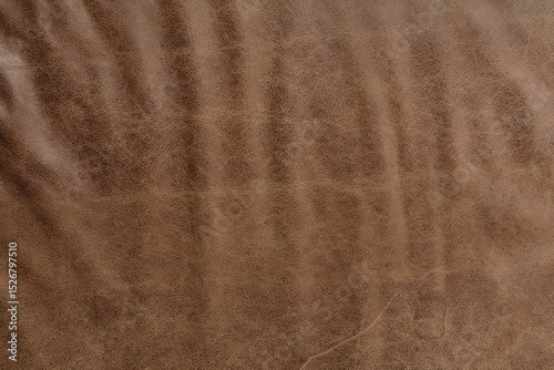 High-resolution image of br...