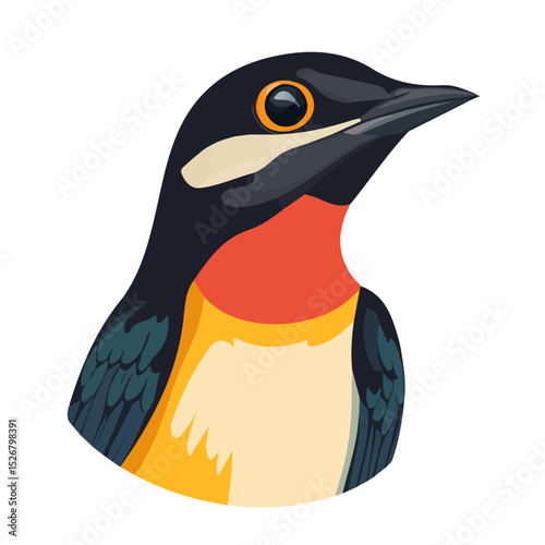 Trogon Close Up 2D flat vector illustration, isolated on a white background.