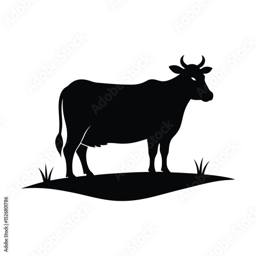 silhouette of Cow standing in rural field