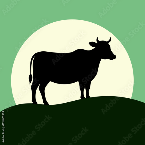 silhouette of Cow standing in rural field