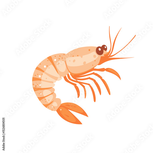 Cartoon-style shrimp illustration